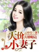 大婚晚辰，天价小妻子